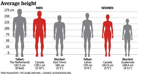 190cm 平均体重 - なぜ彼らは空を飛べないのか？