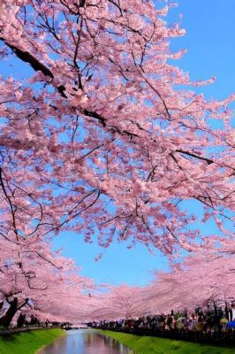   La Danza de las Flores de Cerezo: Una Sinfonía Vibrante en Suminagashi y Tinta Negra