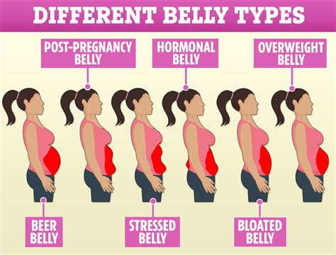 お腹だけ太る 女：なぜ彼女たちは他の部分はスリムなのか？